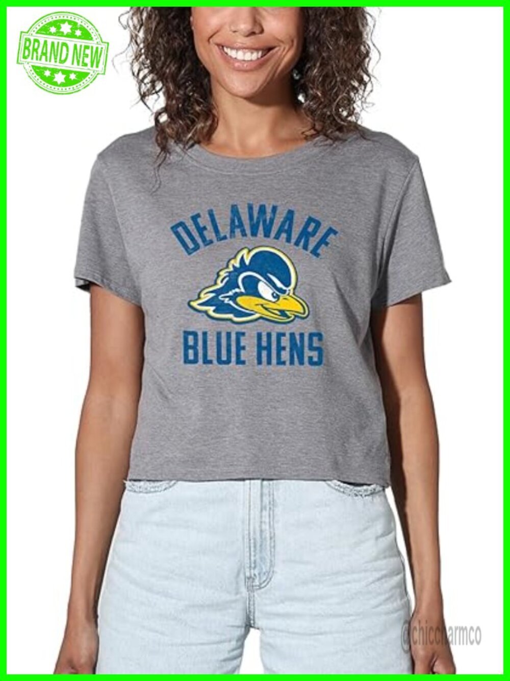 Official Collegiate Distressed Logo Crop Top T-Shirt - Athletic Heather